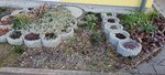20220303_080309.jpg
