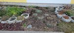 20220303_080315.jpg