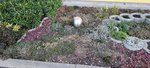 20220303_080335.jpg