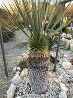 IMG_0046.webp