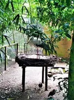 IMG_20210917_132356_3.jpg