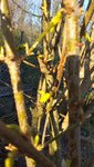 20220304_163030.jpg