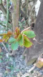 20220304_163100.jpg