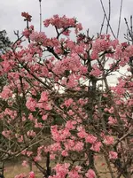 IMG_20220221_155140.webp