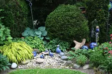 Brunnen0519.webp