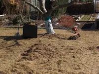HPIM4315[1].webp