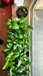 20220308_121952.webp