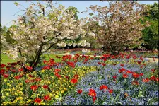 c054.webp