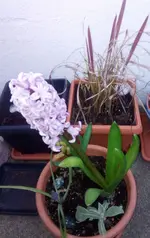 IMG_20220308_181334_478.webp