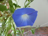 P1110145.webp