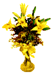 028.gif