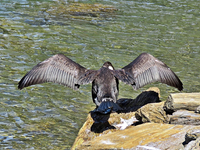 IMG_1898 v (2).webp