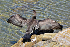 IMG_1899 v (2).webp
