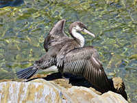 IMG_1900v (2).webp