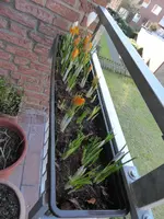 P1060950.webp