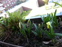 P1060951.webp