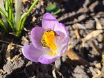 20220310_180423.jpg