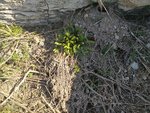 IMG_20220313_100603.jpg