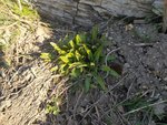 IMG_20220313_100607.jpg