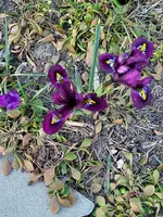 20220310_172653.webp