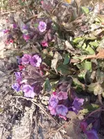 IMG_20220313_154524.webp