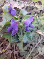 IMG_20220313_154724.webp