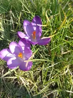 IMG_20220313_154435.webp