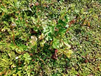 IMG_20220316_105106_1~2.webp