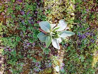IMG_20220316_105337~2.webp