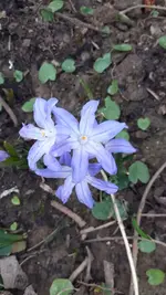 20220316_172029.webp