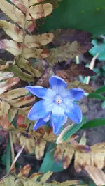 20220316_172038.webp