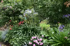 Terasse    2320.webp