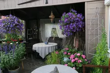 Terasse     3221.webp