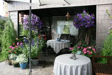 Terasse     3721.webp