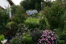Terasse4216.webp