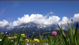 Frühling.webp