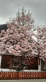 IMG_20180415_164726414_HDR.jpg