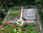Gemüse-Garten062009 022.jpg