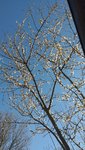 20220319_140020.jpg