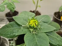 20220319_181034.jpg