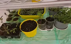 20220319_204357.jpg