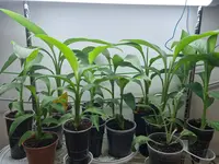 20220319_181239.jpg