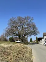 7FBDF6DA-CAA3-493D-A07B-303A56FB02FB.jpeg
