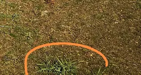 IMG_20220320_231502.webp