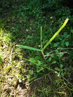 IMG_20220321_123427.jpg