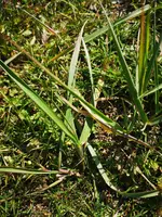 IMG_20220321_123353.webp