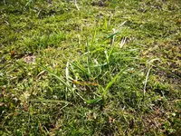IMG_20220321_123348.webp