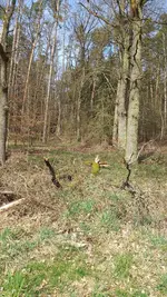 20220321_131120.webp