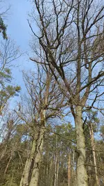 20220321_131115.webp