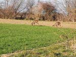 IMG_20220314_163407.jpg